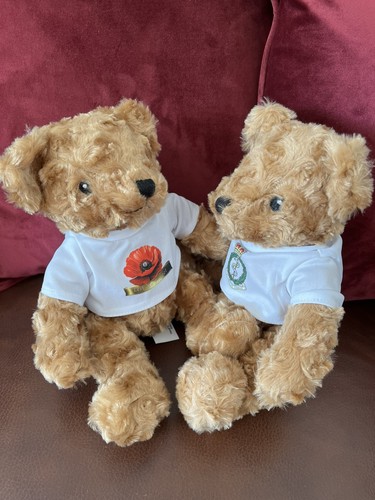 Lot plush teddy - of,